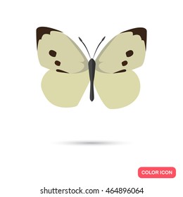 Color butterfly flat icon