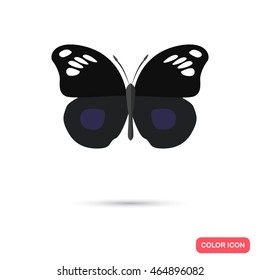 Color butterfly flat icon