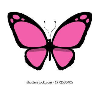 Color butterfly icon, isolated on white. Vector