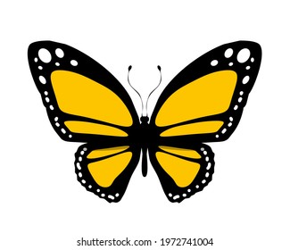 Color butterfly icon, isolated on white. Vector