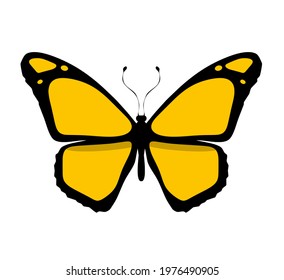 Color butterfly icon, isolated on white. Vector