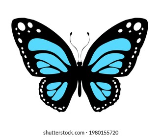 Color butterfly icon, isolated on white. Vector
