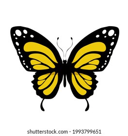 Color butterfly icon, isolated on white background. Vector