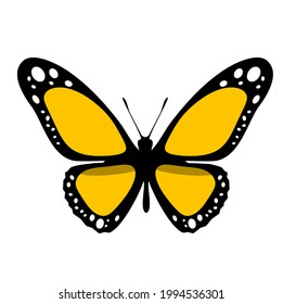 Color butterfly icon, isolated on white background. Vector