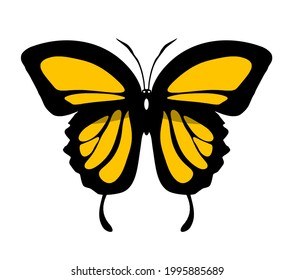 Color butterfly icon, isolated on white background. Vector