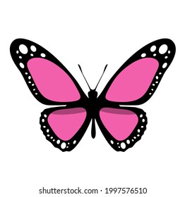Color butterfly icon, isolated on white background. Vector