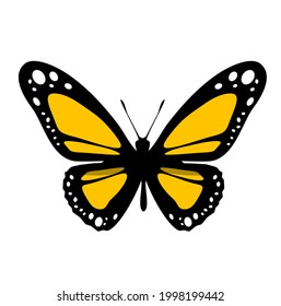 Color butterfly icon, isolated on white background. Vector