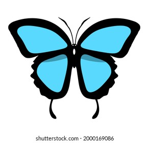Color butterfly icon, isolated on white background. Vector