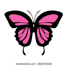 Color butterfly icon, isolated on white background. Vector