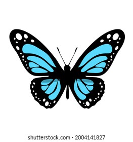 Color butterfly icon, isolated on white background. Vector