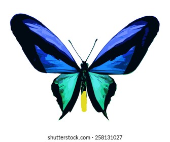 Color butterfly, isolated on white