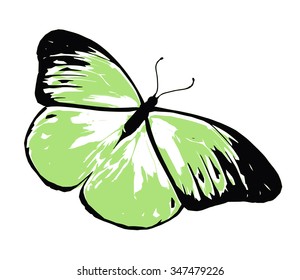 Color butterfly , isolated on white