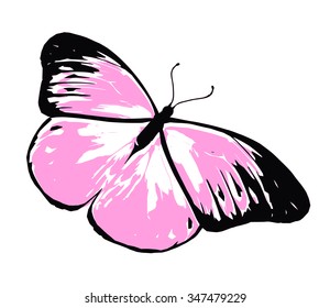 Color butterfly , isolated on white