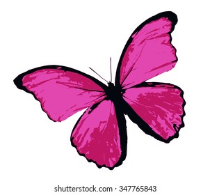 Color butterfly, isolated on white background