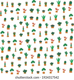 Color cacti and plants pattern