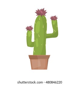 Color cactus isolated on white background. Vector succulent design mexican cactus botany garden cartoon graphic. Nature desert plant green cactus cacti drawing tropical exotic collection.