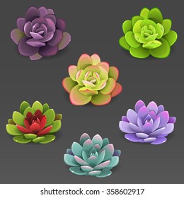 Color cactus set