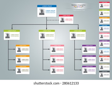 Color Card Organizational Chart Infographic, Multiple Color, Business Structure Concept, Business Flowchart Work Process, Vector Illustration.