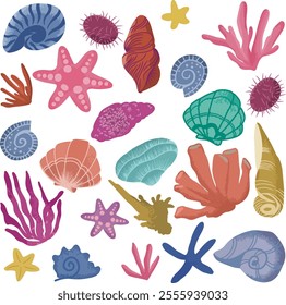 color cartoon illustration elements of sea shells, shells, sea animals