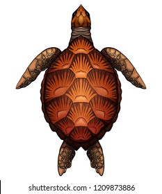 Color cartoon illustration of turtle. The object is separate from the background. Illustration for printing on T-shirts, covers, sketches of tattoos and your design.