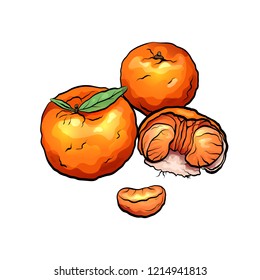 Color cartoon illustrations of mandarin and citrus The object is separate from the background. Illustration for printing on T-shirts, covers, menu and your design.