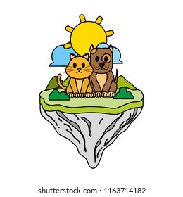 color cat and dog friends in float island