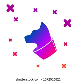 Color Cat icon isolated on white background. Gradient random dynamic shapes. Vector Illustration