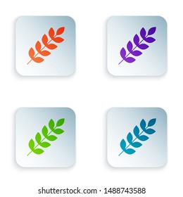 Color Cereals set with rice, wheat, corn, oats, rye, barley icon isolated on white background. Ears of wheat bread symbols. Set icons in colorful square buttons. Vector Illustration