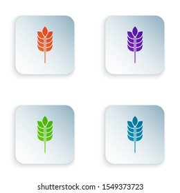 Color Cereals set with rice, wheat, corn, oats, rye, barley icon isolated on white background. Ears of wheat bread symbols. Set icons in colorful square buttons. Vector Illustration