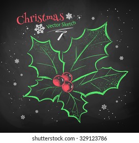 Dibujo vectorial de tiza de color de la Navidad holly sobre fondo negro de tiza. 