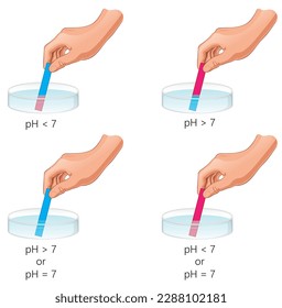 color change of litmus paper according to pH of a solution