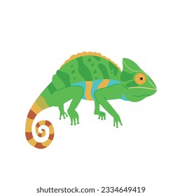 Color changing chameleon reptile illustration. simple hand drawn style illustration