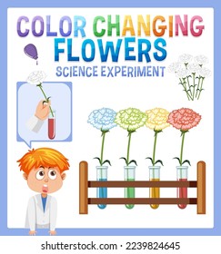 Color changing flowers science experiment illustration