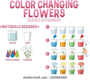 Color changing flowers science experiment illustration