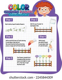 Color Changing Flowers Science Experiment illustration