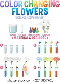 Color changing flowers science experiment illustration