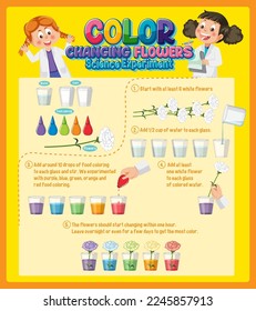 Color Changing Flowers Science Experiment illustration