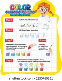 Color Changing Flowers Science Experiment illustration