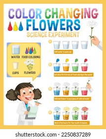Color Changing Flowers Science Experiment illustration