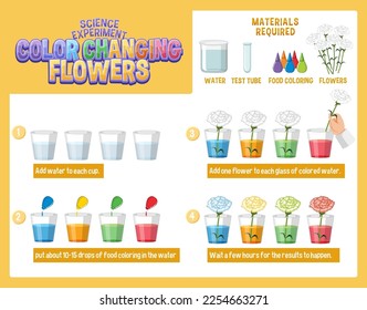 Farbverändernde Blumen - Wissenschaftsexperimentelle Illustration