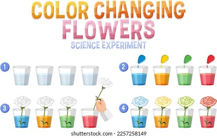 Color changing flowers science experiment illustration