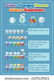 Color changing flowers science experiment illustration