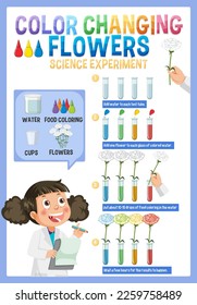 Color Changing Flowers Science Experiment illustration