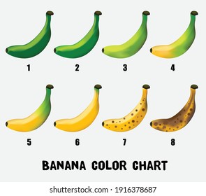 307 Banana nutrition chart Images, Stock Photos & Vectors | Shutterstock