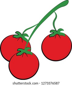 color cherry food vector illustration