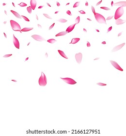Color Cherry Petal Vector White Background. Pink Japan Apple Petal Backdrop. Flower Petal Valentine Design. Falling Lotus Petal Poster.