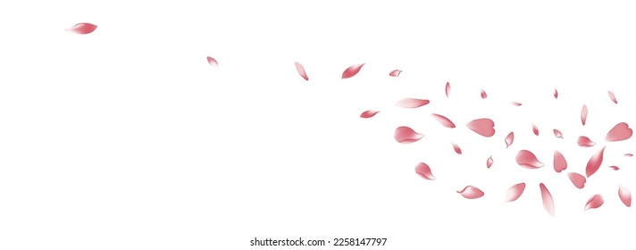 Color Cherry Petal Vector White Background. Purple Summer Apple Petal Texture. Peach Petal 3d Frame. Floral Rose Petal Backdrop.
