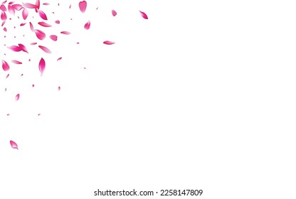 Color Cherry Petal Vector White Background. Purple Fall Lotus Petal Card. Peach Petal Blossom Texture. Spa Flower Petal Pattern.