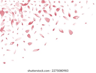 Color Cherry Petal Vector White Background. Transparent Japan Lotus Petal Template. Rose Petal Delicate Design. Romance Flower Petal Pattern.