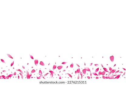 Color Cherry Petal Vector White Background. Pastel Fly Apple Petal Banner. Peach Petal 3d Template. Summer Sakura Petal Poster.